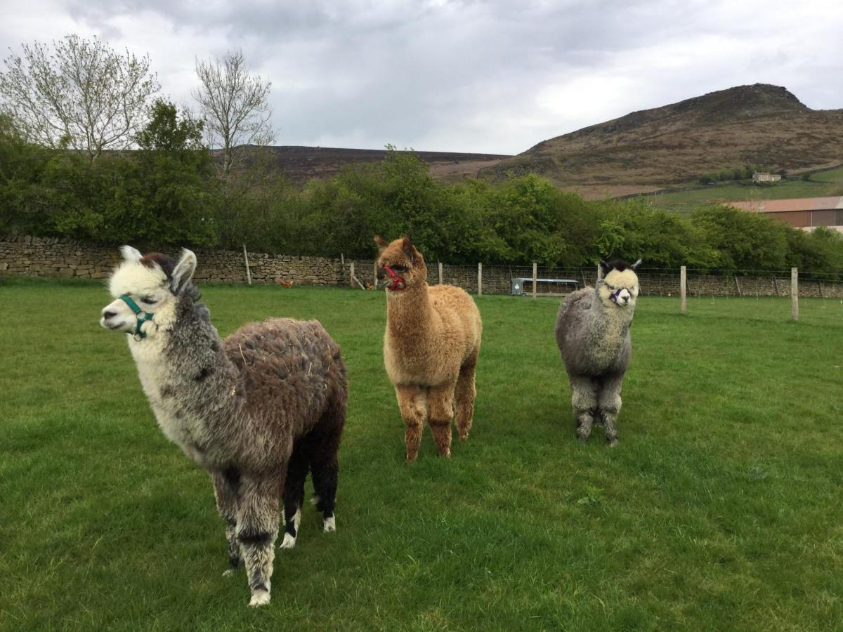 Crown Cottage Farm Skipton Bagian luar foto